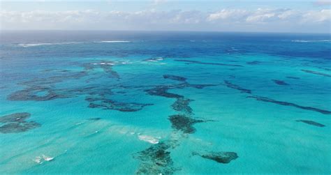 Midway Atoll National Wildlife Refuge + Battle of Midway National Memorial | Outdoor Project