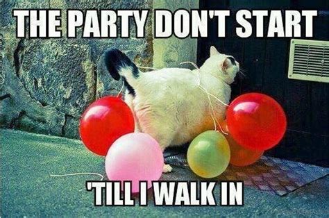 50 Most Funny Party Memes