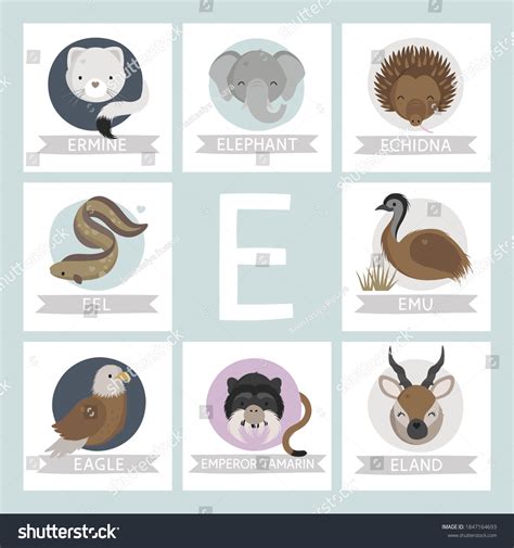 Letter E Named Animals Cute Animals Stock Vector (Royalty Free) 1847164693 | Shutterstock