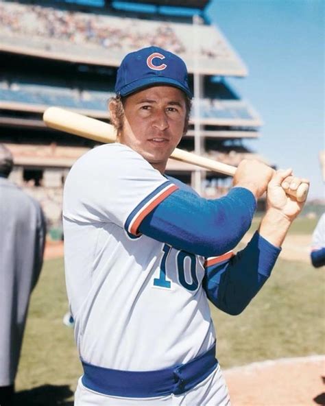 Ron Santo | Cubs players, Chicago cubs baseball, Chicago sports teams