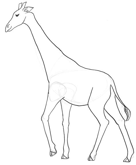 Giraffe Without Spots Page Coloring Pages