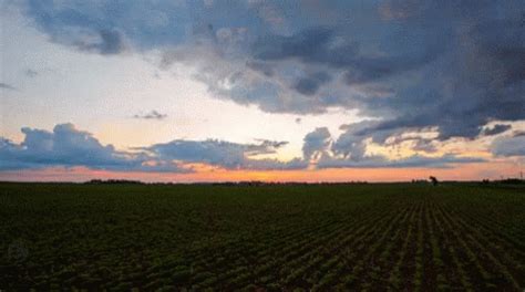 Farm GIF - Farm Farmer Farming - Descobrir e Compartilhar GIFs