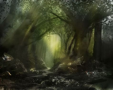 Mirkwood forest. Love the sickly light | Inspiration for The Book | P…