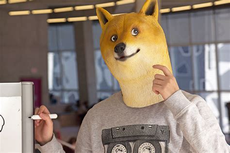 Doge Mask