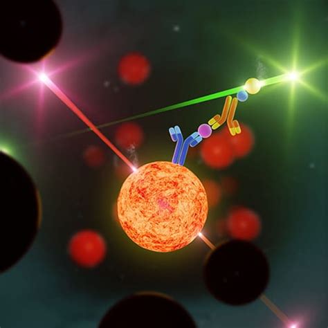 Luminex Assays, Multiplex Immunoassays | Bio-Techne