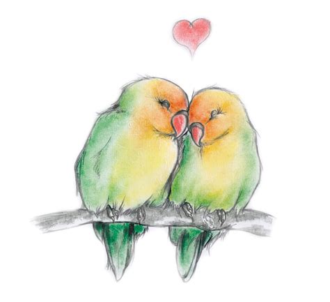 Love Birds Drawing Images at GetDrawings | Free download