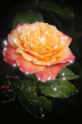 ♥.• ROSA *´♥ Roses Gif, Flowers Gif, Glitter Flowers, Butterfly Flowers ...