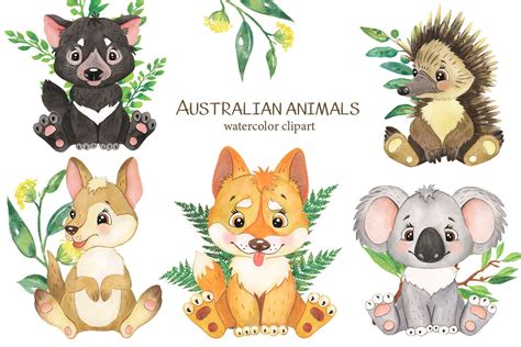 Australian animals clipart. Watercolor clipart little | Etsy