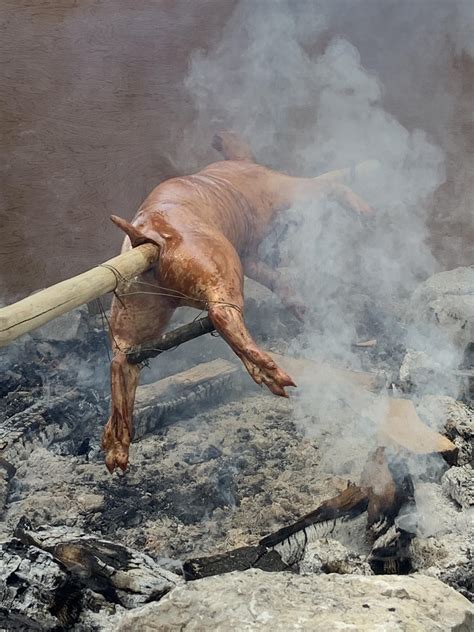 Cooking pig : r/pics