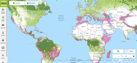 Global Forest Watch Tracks Deforestation in Real Time - And Helps Fight It Too – Digital for ...