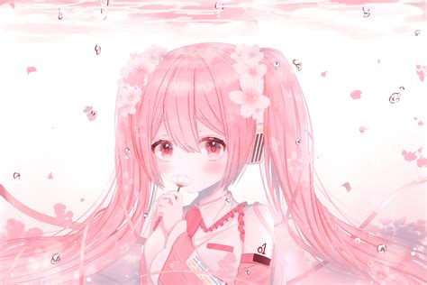 Pink Head Anime Wallpapers - Wallpaper Cave