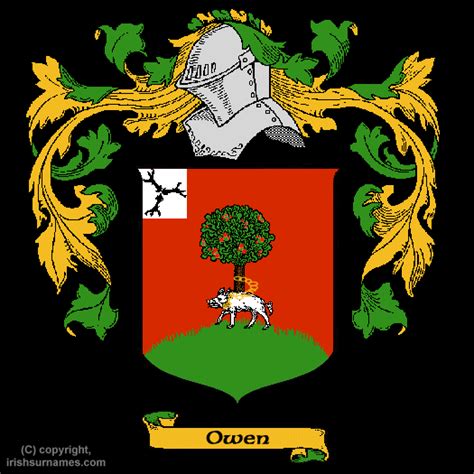 Owen family crest and meaning of the coat of arms for the surname Owen ...