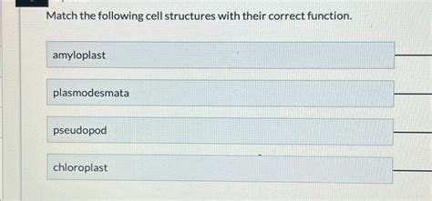 Solved Match the following cell structures with their | Chegg.com