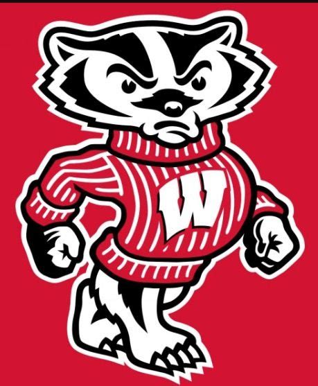 Pin on gifts and things | Bucky badger, University of wisconsin ...