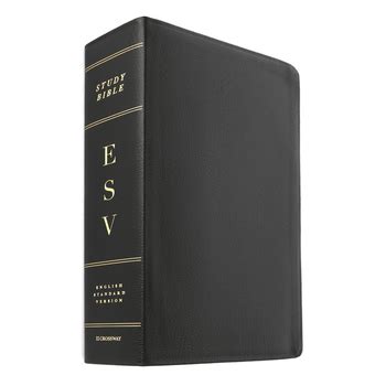 ESV Study Bible, Large Print, Genuine Leather, Black | Mardel | 9781433544316