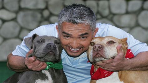 Dog Whisperer with Cesar Millan Full Episodes | Season 9 Episode 3 | Cesar Conquers London | Dog ...