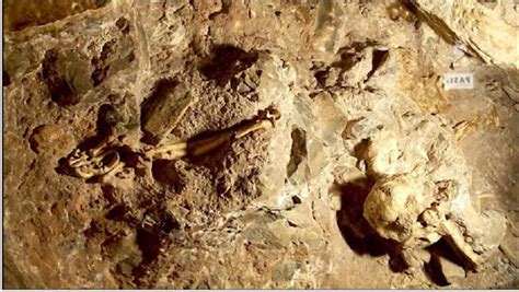 Australopithecine"Little Foot" Reveals Her Secrets