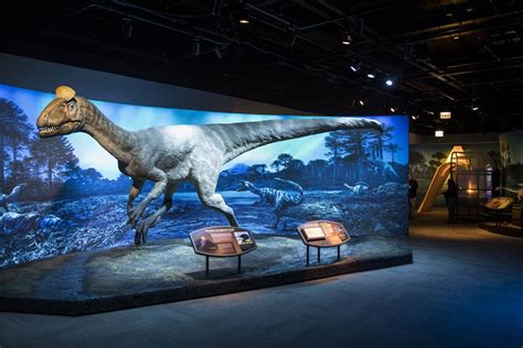 Field Museum’s 'Antarctic Dinosaurs' exhibit includes new, unnamed species - Chicago Sun-Times