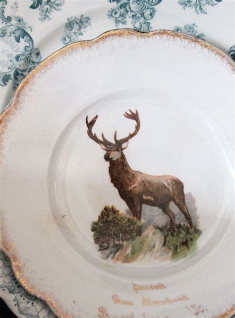 Stag dinnerware. | Antlers decor, Woodland glam, Horns decor