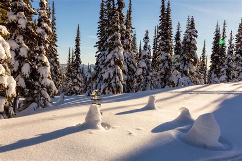 Premium Photo | Canadian landscape view during a vibrant winter sunset