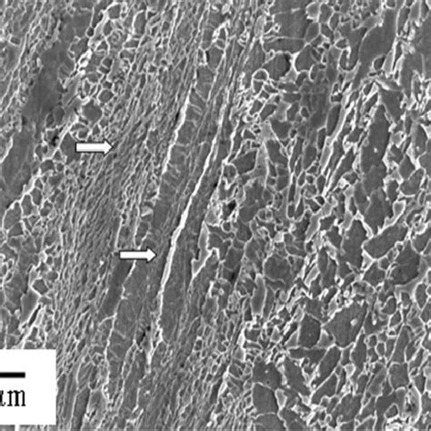 Ferrite grain size variation observed in the inter-critically deformed... | Download Scientific ...