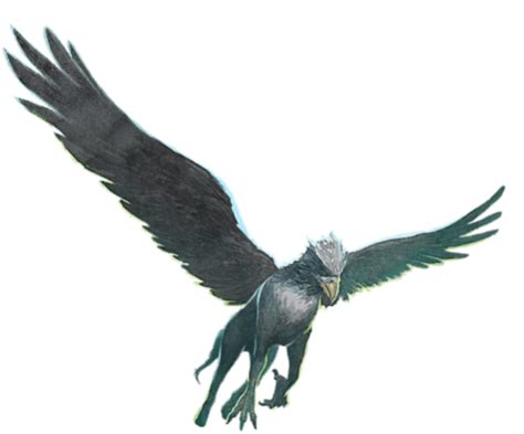 Hippogriff | Harry Potter: Wizards Unite Wiki | Fandom