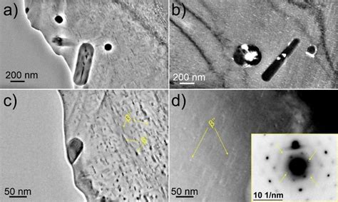 Exemplar transmission electron microscopy (TEM) images of the... | Download Scientific Diagram