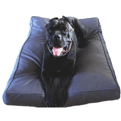 Chew Proof Dog Bed | For Dogs That Chew