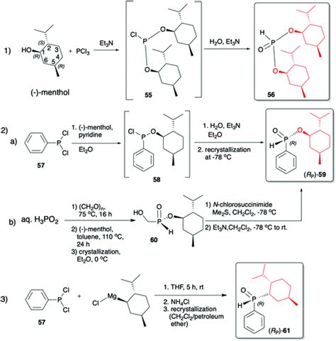 Asymmetric synthesis of organophosphorus compounds using H–P reagents derived from chiral ...