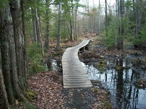 Bradbury Mountain State Park - Mountain Biking Trails - Maine Trail Finder