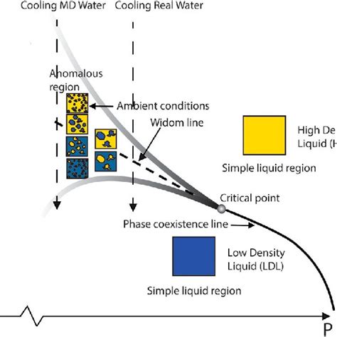 Schematic picture of a hypothetical phase diagram of liquid water ...