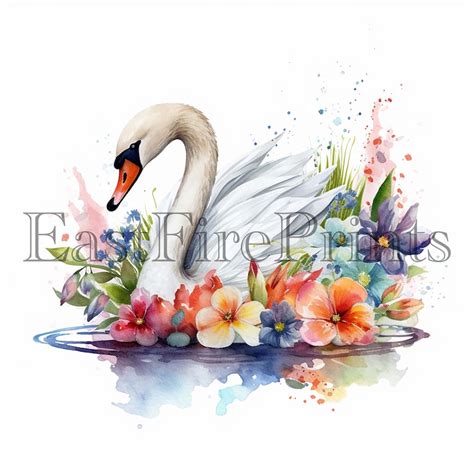 20 Watercolor Swan Clipart PNG Baby Swan Bird Nursery - Etsy