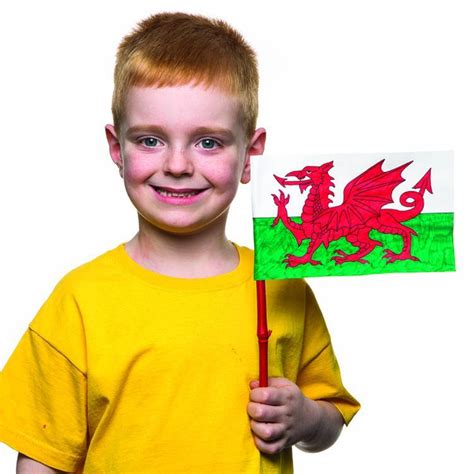 Welsh Dragon Flag craft activity guide | Baker Ross