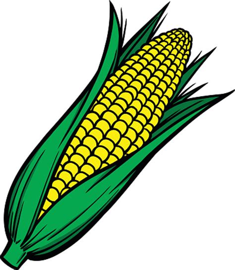 Corn cob clipart - Clipground