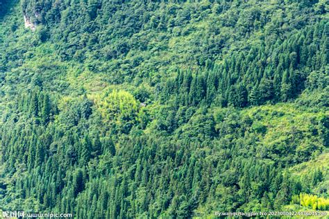 山林摄影图__山水风景_自然景观_摄影图库_昵图网