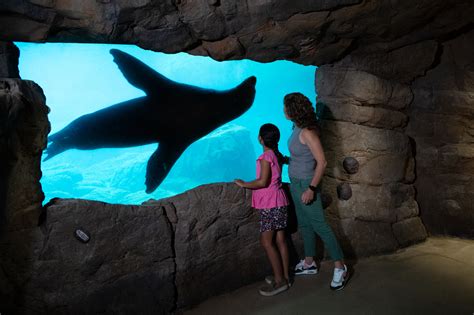 NYC's Aquarium has opened all of its exhibits after Sandy repairs