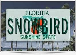 5 Great Tips For Car Shipping Snowbirds Migrating To Florida