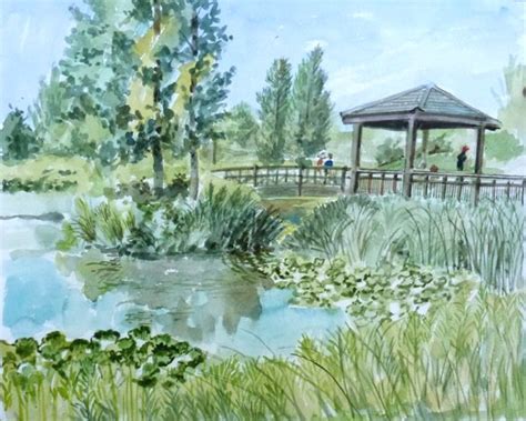 The Wetland Centre, June 14th 2017 | Twickenham Art Circle