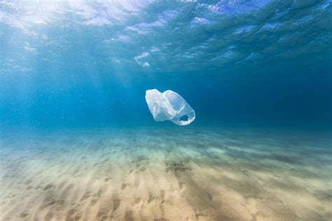 Un mar de plàstic. Causes i conseqüències - Nautilus