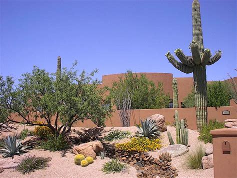 Best Plants For Arizona Backyard at Darren Foust blog