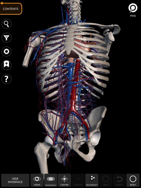 [Updated] Anatomy 3D Atlas for iPhone / iPad, Windows PC (2023)