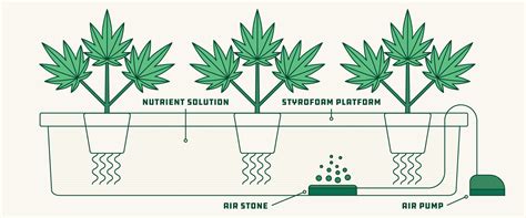 How to Set Up a Hydroponic Grow System for Cannabis - 2020 Grow Guide ...