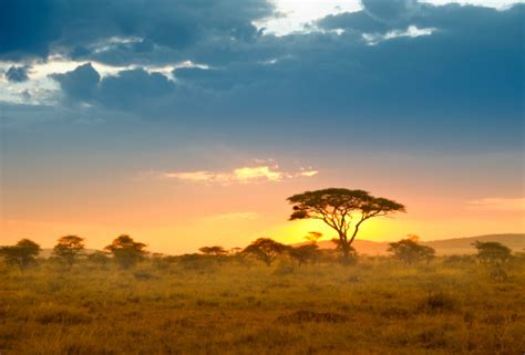 African Sunset Pictures | Download Free Images on Unsplash