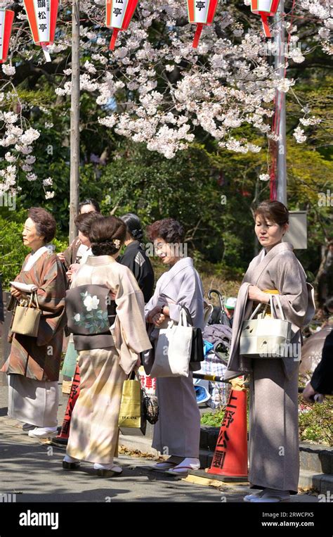 The cherry blossom season in Ueno Park is extremely popular with locals and visitors alike ...