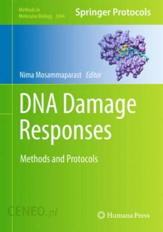 DNA Damage Responses - Literatura obcojęzyczna - Ceny i opinie - Ceneo.pl