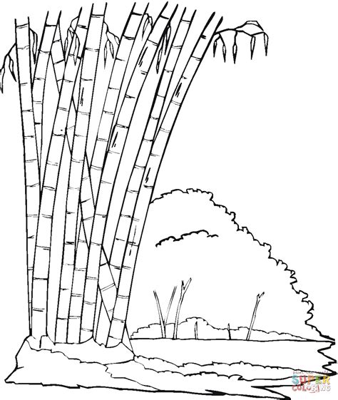 Bamboo in the Jungle coloring page | Free Printable Coloring Pages