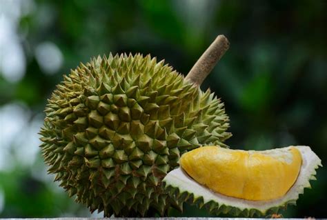 Premium Photo | Durian fruit