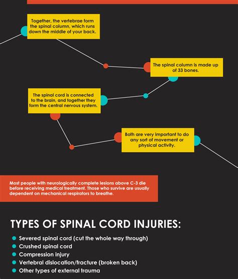 Spinal Cord Injuries Globally: Infographic Glance ~ Neuro and Spine ...