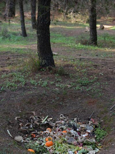 Trench Composting Information - How To Make A Compost Pit At Home