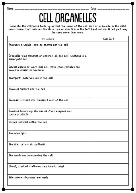 Lab Exam Organelle Parts Cells Worksheet Cell Organelles Biology | My ...